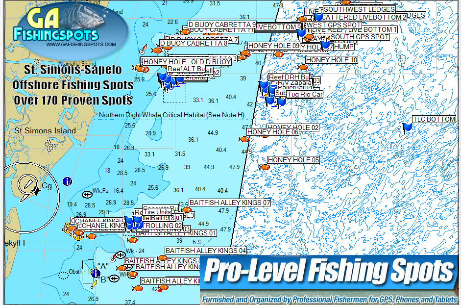 St. Simons Island Fishing Spots Map GPS Fishing Spots & Fishing Maps