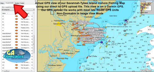 Tybee Island Savannah Fishing Spots and Fishing Map