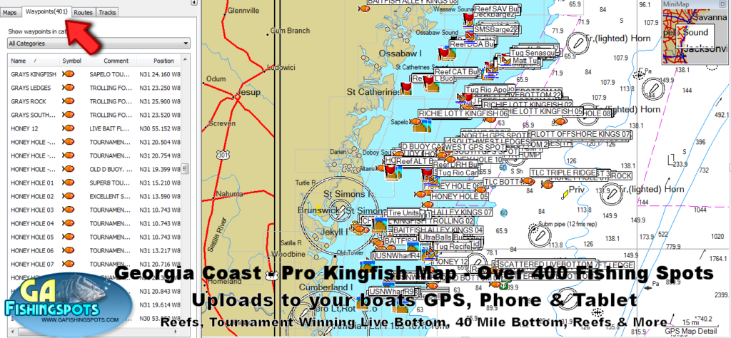 Georgia Kingfish Fishing Spots for Offshore Fishing