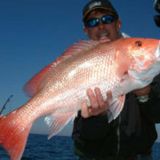 40 Mile Bottom Snapper Banks Fishing Spots
