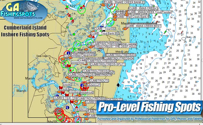 Georgia Saltwater Fishing Maps for GPS