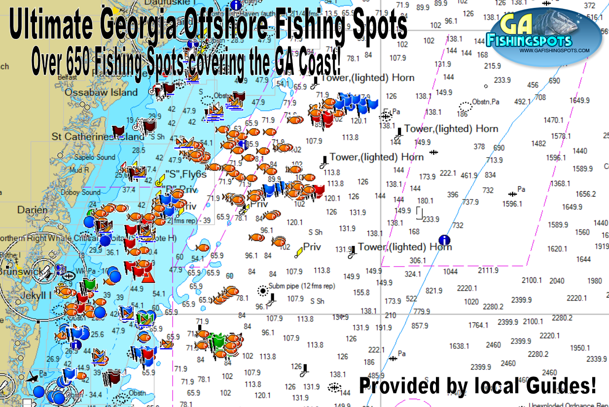 The Ultimate Georgia Offshore Fishing Spots