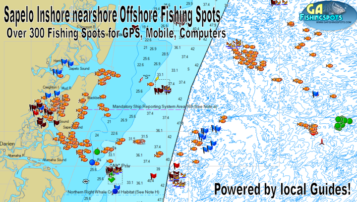 Sapelo Island Georgia Inshore, Nearshore and Offshore Fishing Spots ...