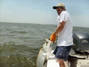 Tarpon fishing spots and fishing locations in coastal Georgia