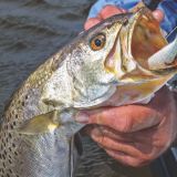 Georgia inshore speckled trout fishing spots