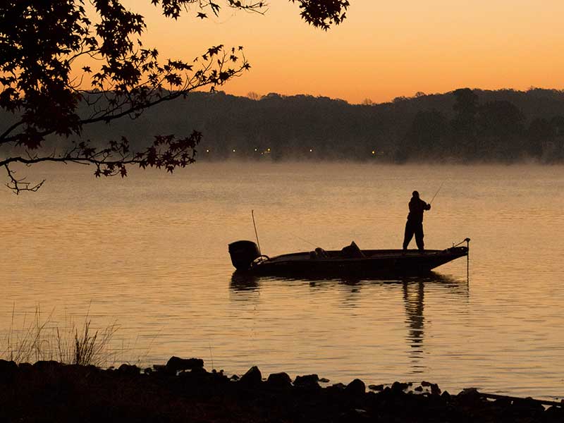 Lake Sidney Lanier Fishing Map