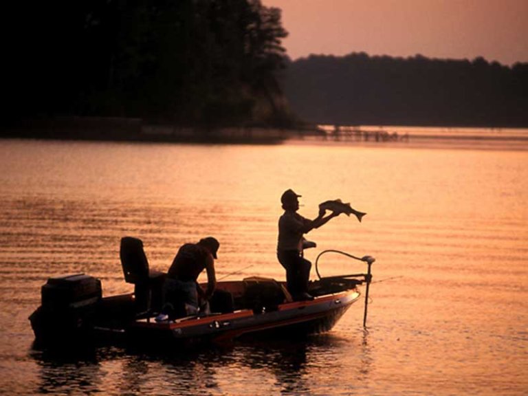 Georgia Lake Fishing Maps and Fishing Spots for GPS