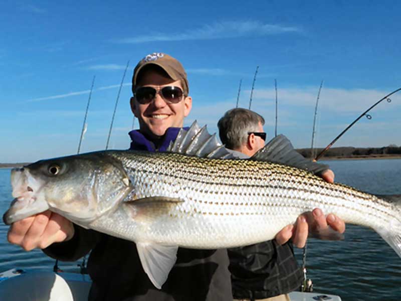 lake-lanier-fishing-spots-for-striper