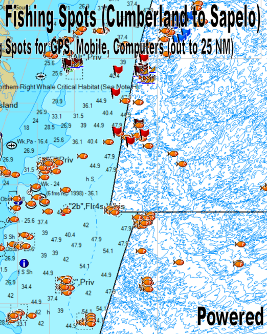 St Simons Offshore Fishing Spots GPS Map