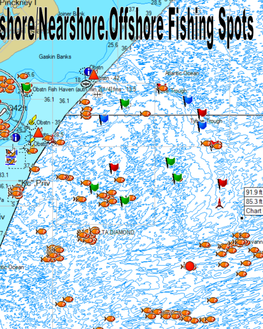 Tybee Island Inshore and Offshore Fishing Spots