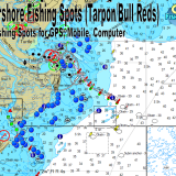 Tarpon Fishing spots at Tybee Island GA