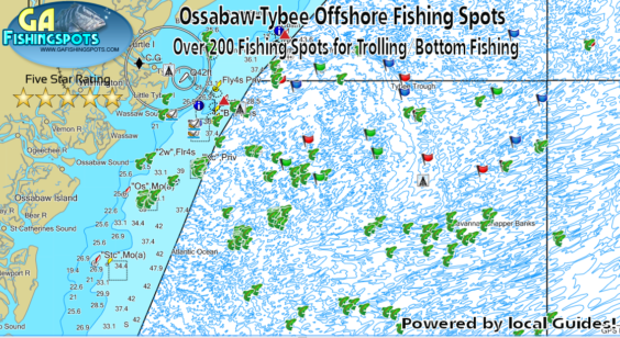 Wassaw Island Fishing Spots and Fishing Map