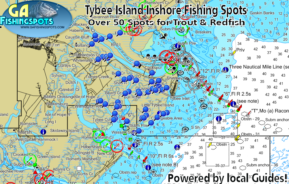 Tybee Island Georgia Savannah Inshore Fishing Spots - Georgia Fishing Spots  for GPS