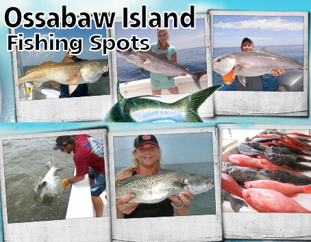 Ossabaw Island Fishing Spots banner