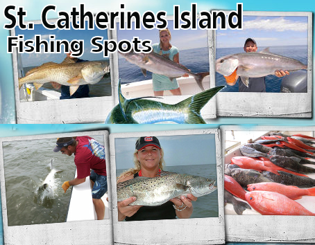 St Catherines Island Fishing Spots banner