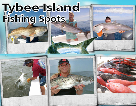 Tybee Island Fishing Spots banner