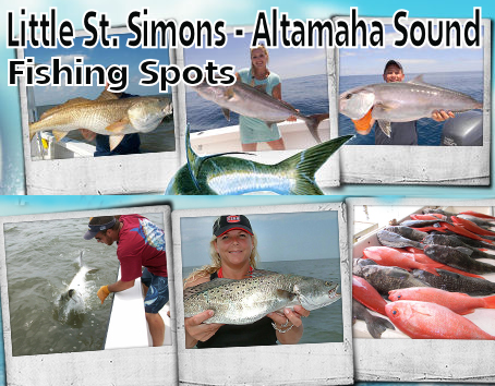 Little St, Simons Island Fishing Spots banner